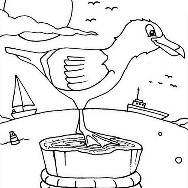 Seagull, : Seagull at Bay Coloring Page