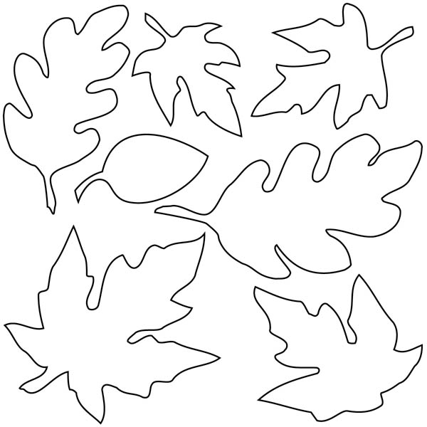 Maple Leaf, : Various Type of Maple Leaf Coloring Page