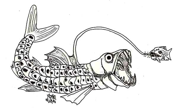 Sea Monster, : Viperfish Sea Monster Coloring Page