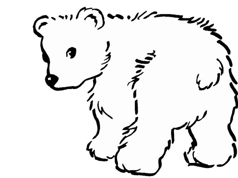 Polar Bear, : Baby Polar Bear Coloring Page
