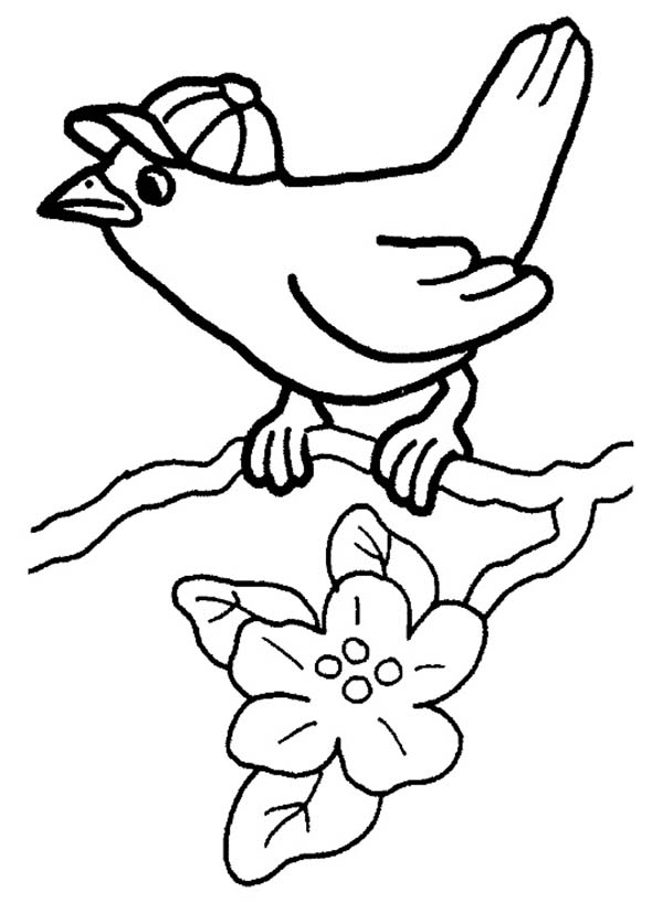 Spring, : Bird Wearing Hat on Spring Coloring Page