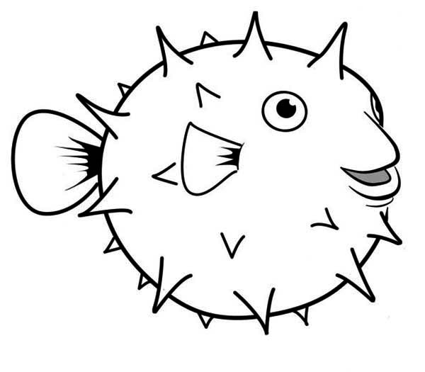 Puffer Fish, : Happy Globefish Puffer Fish Coloring Page