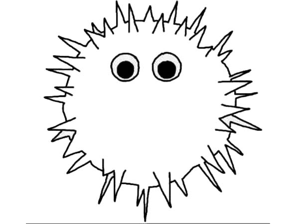 Puffer Fish, : Noseless Puffer Fish Coloring Page