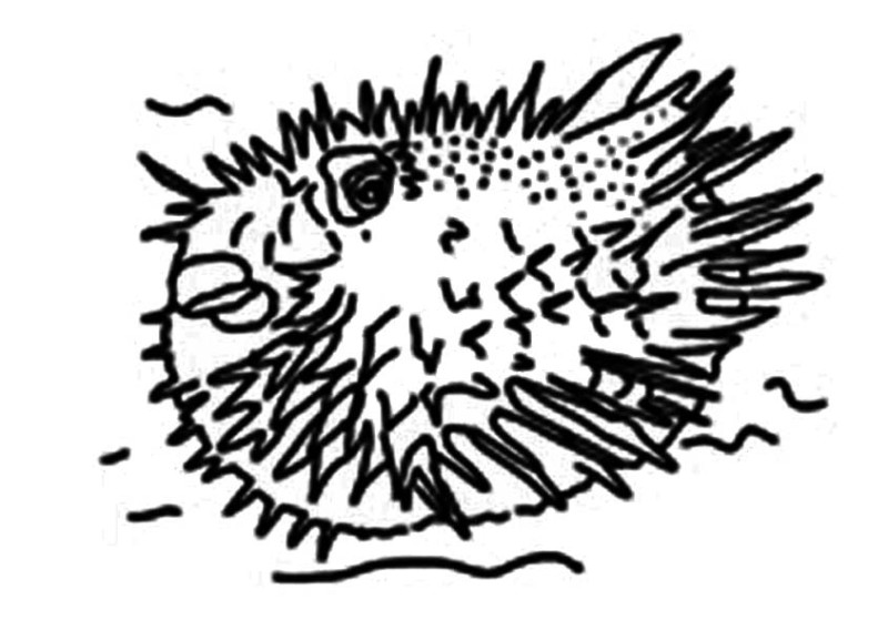 Puffer Fish, Porcupine Puffer Fish Coloring Page: Porcupine Puffer Fish Coloring PageFull Size Image