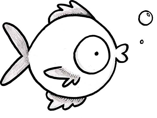 Puffer Fish, : Swellfish Puffer Fish Coloring Page
