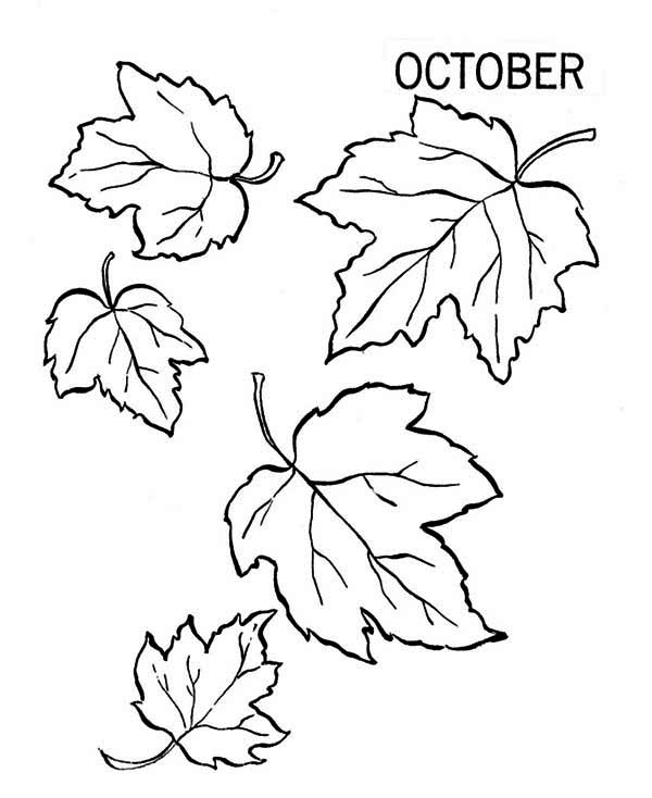 Autumn, : Lots of Autumn Leaf Coloring Page