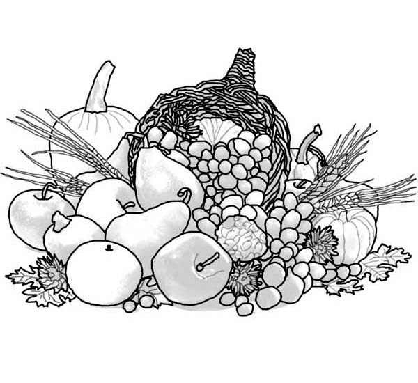 Canada Thanksgiving Day, : All Kind of Fruits for Canada Thanksgiving Day Coloring Page