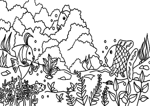 Coral Reef Fish, : Coral Reef Fish Underwater World Coloring Pages