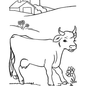 Cows, Cows Favorite Flower Coloring Pages: Cows Favorite Flower Coloring Pages