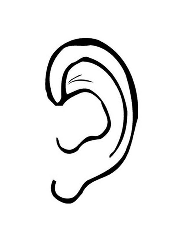 Ear, : Drawing Ear Coloring Pages