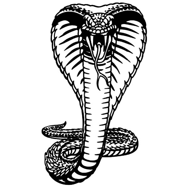 King Cobra, : King Cobra Hood Extended Coloring Pages