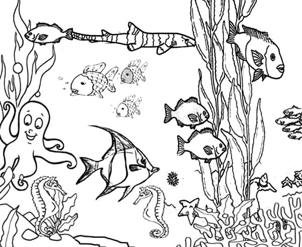 Coral Reef Fish, : Ocean Plants Among Coral Reef Fish Coloring Pages